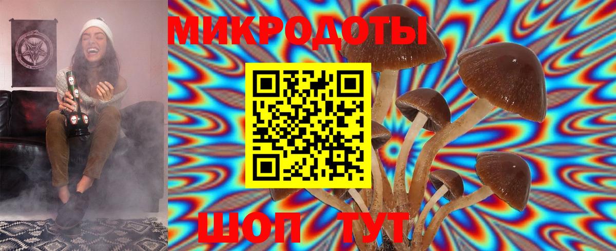 Галлюциногенные грибы Psilocybe  Вход с VPN  Саяногорск  Галлюциногенные грибы мухоморы 