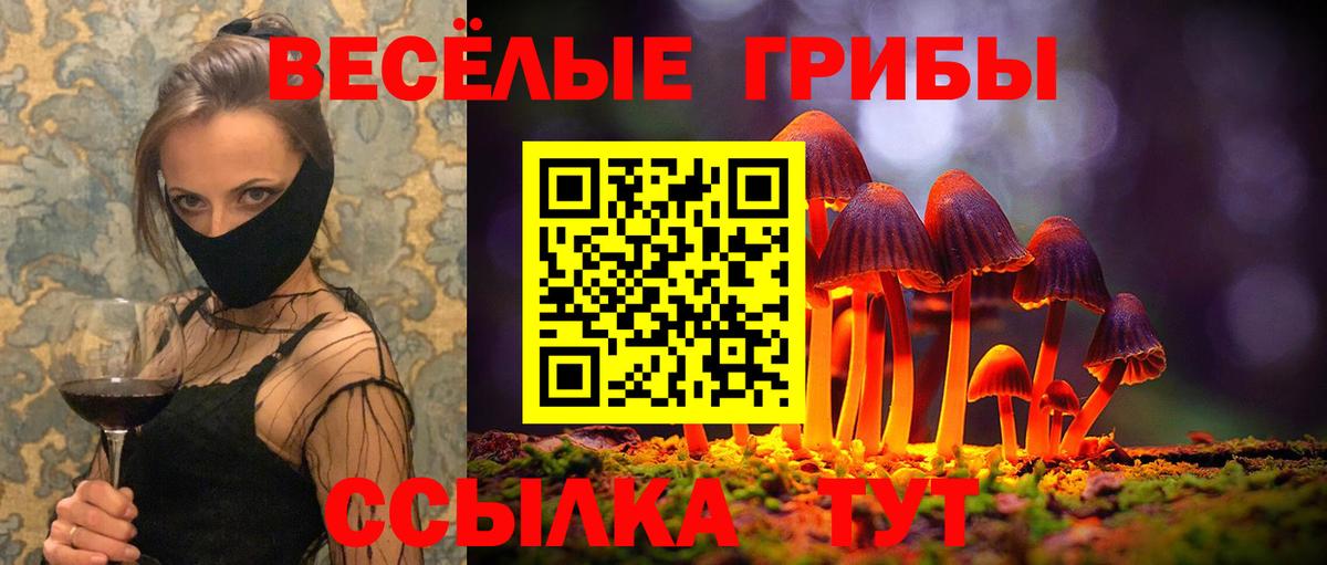 Псилоцибиновые грибы Psilocybe Саяногорск